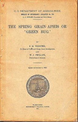 The spring grain-aphis or 
