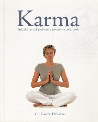 Karma - Praktický návod k pochopení a proměně vlastního osudu