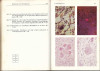 Atlas der allgemeinen Pathologie