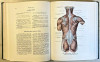 Atlas anatomii čelověka I.-III.