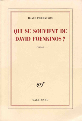 Qui se souvient de David Foenkinos ?