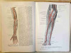 Lehrbuch und Atlas der Anatomie des Menschen I.-III.