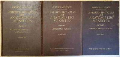 Lehrbuch und Atlas der Anatomie des Menschen I.-III.