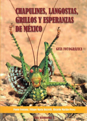 Chapulines, langostas, grillos y esperanzas de Mexico-Grasshoppers, locusts, crickets and katydids of Mexico