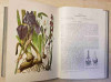 Illustrierte Flora von Mitteleuropa (13 sv.)