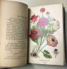 Großes illustriertes Kräuterbuch mit Abbildungen und 362 Rezepten